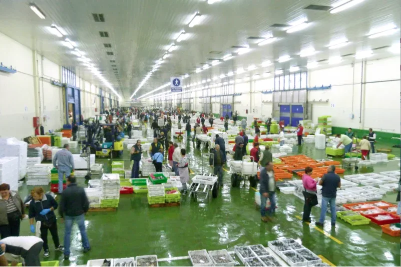 Interior de la lonja con pescado sobre hielo