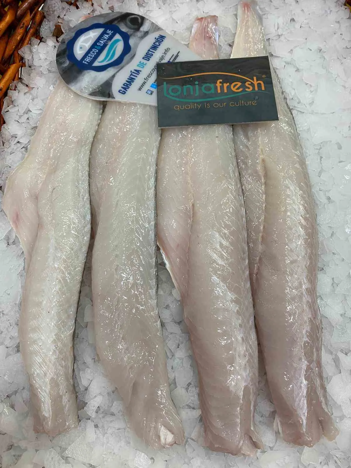 Merluza de pincho fresca