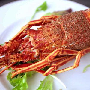 Langosta gallega