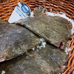 Rodaballo salvaje